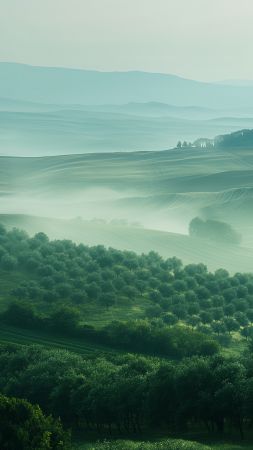Tuscany wallpaper, rolling hills, high-definition wallpaper, background for mobile wallpaper (vertical)