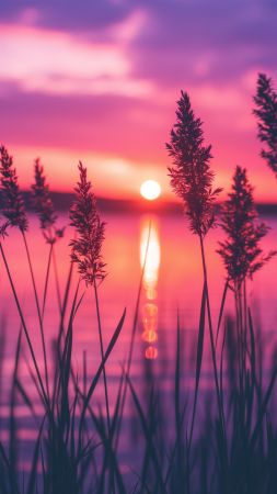 Lake wallpaper, purple, tranquil, background for mobile wallpaper (vertical)