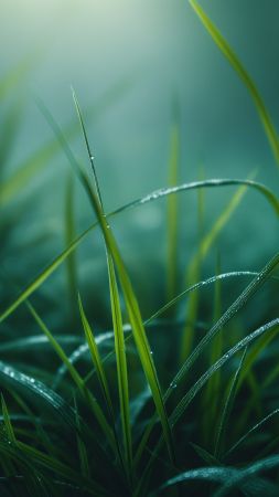Green grass wallpaper, 4k resolution, vibrant greenery, background for mobile wallpaper (vertical)