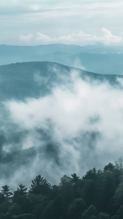 Appalachian wallpaper, forest, scenic, background for mobile wallpaper (vertical)