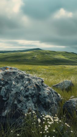 Meadows wallpaper, 4k wallpaper, landscape, background for mobile wallpaper (vertical)