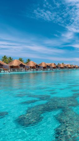 Maldives wallpaper, Best Beaches in the World, sandy shores, background for mobile wallpaper (vertical)