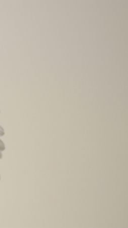 Gerbera wallpaper, white flower, close-up, background for mobile wallpaper (vertical)