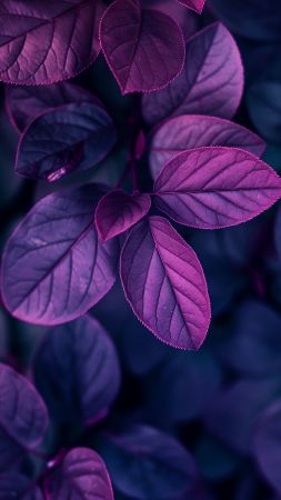 Leaves wallpaper, violet, botanical, background for mobile wallpaper (vertical)