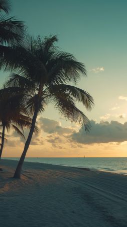 Miami wallpaper, ocean, coast, background for mobile wallpaper (vertical)