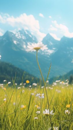 Alps wallpaper, meadows, grass, background for mobile wallpaper (vertical)