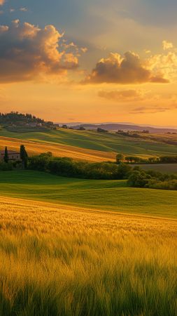 Tuscany wallpaper, vibrant sky, rolling hills, background for mobile wallpaper (vertical)