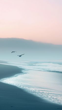 Ocean wallpaper, sunrise, sea, background for mobile wallpaper (vertical)