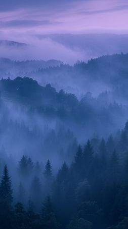 Forest wallpaper, sunlight, fall foliage, background for mobile wallpaper (vertical)