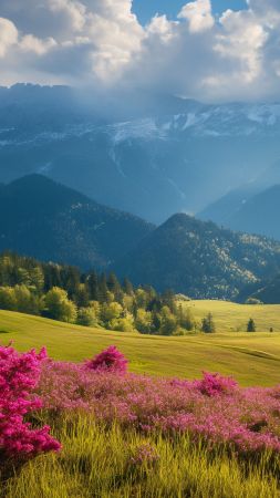 Slovenia wallpaper, Alps, scenic landscape, background for mobile wallpaper (vertical)