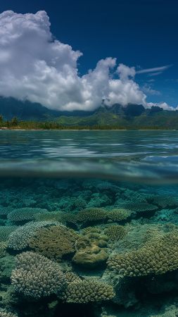 Bungalows wallpaper, clear turquoise water, idyllic getaway, background for mobile wallpaper (vertical)