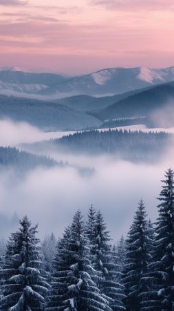 Slovakia wallpaper, fog, high resolution, background for mobile wallpaper (vertical)