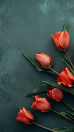 tulips wallpaper, red, vibrant, background for mobile wallpaper (vertical)