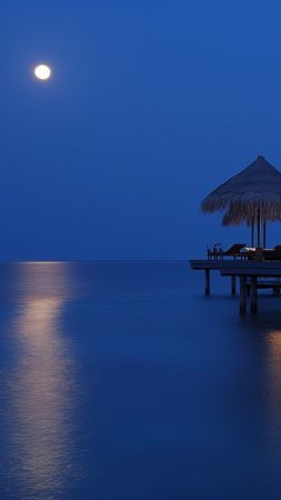 Maldives wallpaper, beach, island, background for mobile wallpaper (vertical)