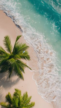 beach wallpaper, palm trees, coastal, background for mobile wallpaper (vertical)