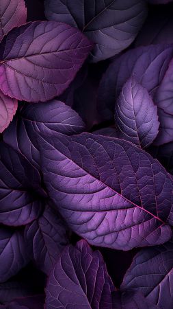 three wallpaper, 4k wallpaper, high resolution, background for mobile wallpaper (vertical)