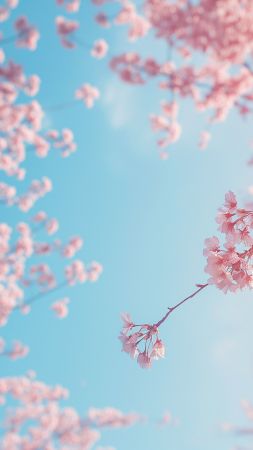 trees wallpaper, spring blossoms, nature scenery, background for mobile wallpaper (vertical)