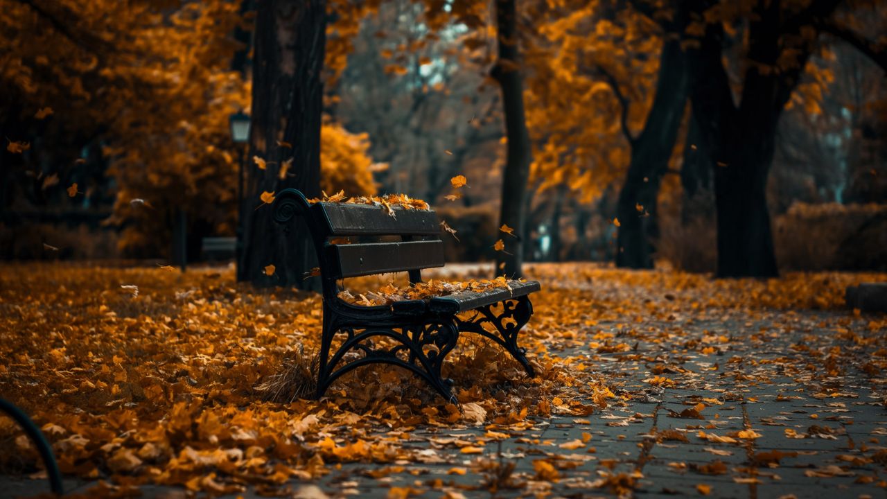 park wallpaper, autumn, nature, background for desktop wallpaper (horizontal)