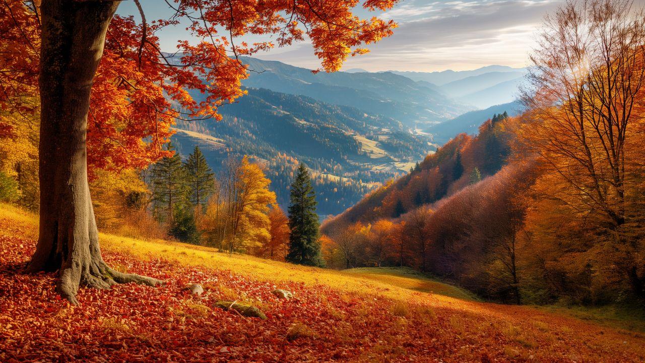 forest wallpaper, mountains, colorful foliage, background for desktop wallpaper (horizontal)