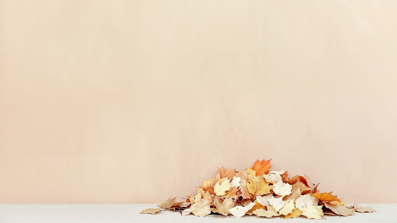 fall wallpaper, warm, peaceful, background for desktop wallpaper (horizontal)