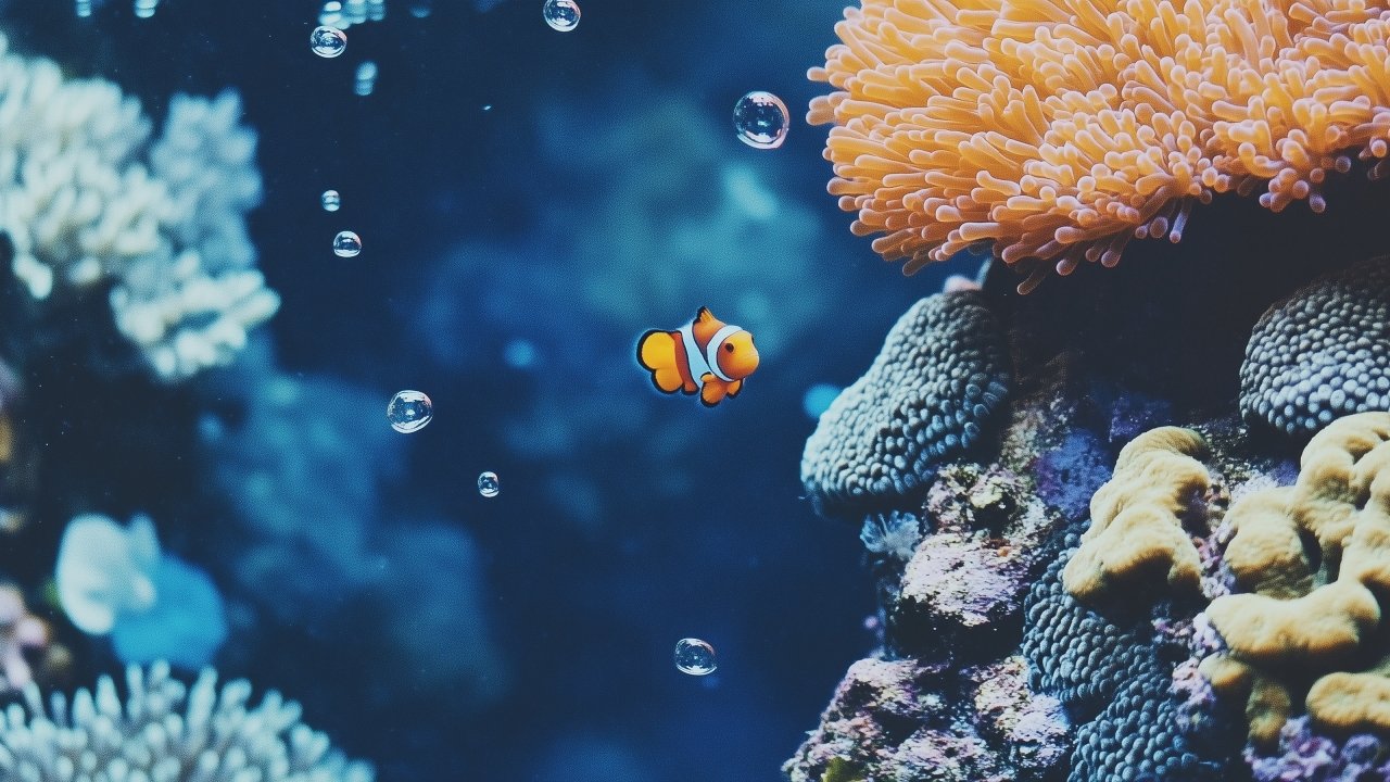 tropical fish wallpaper, vibrant corals, reef inhabitants, background for desktop wallpaper (horizontal)