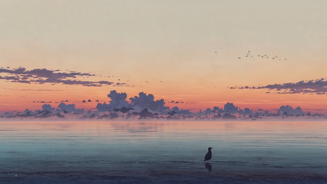 beach sunset wallpaper, sunset hour, evening sky, background for desktop wallpaper (horizontal)