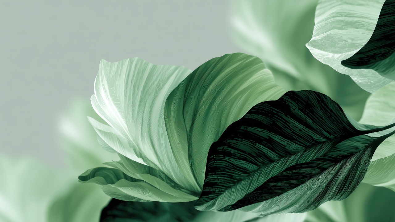 plant art wallpaper, organic abstract, eco-friendly decor, background for desktop wallpaper (horizontal)