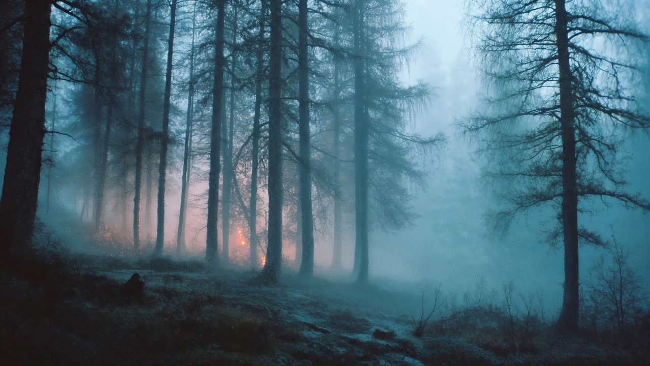 cold winter wallpaper, haze, dreamy landscape, background for desktop wallpaper (horizontal)
