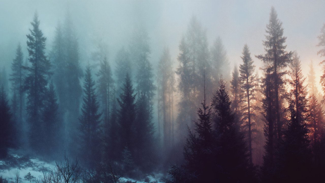 enchanting wallpaper, surreal, mist, background for desktop wallpaper (horizontal)