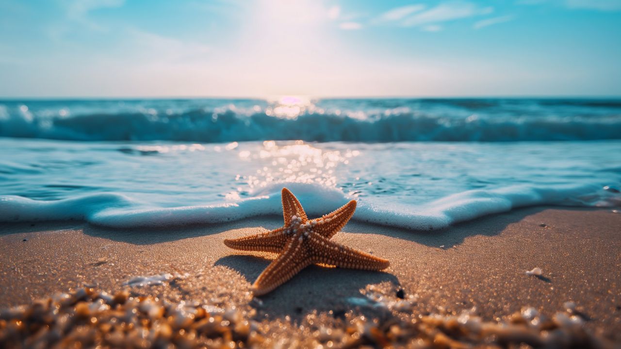 Sea wallpaper, ocean, turquoise waters, background for desktop wallpaper (horizontal)