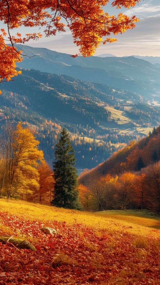 forest wallpaper, mountains, colorful foliage, background for mobile wallpaper (vertical)