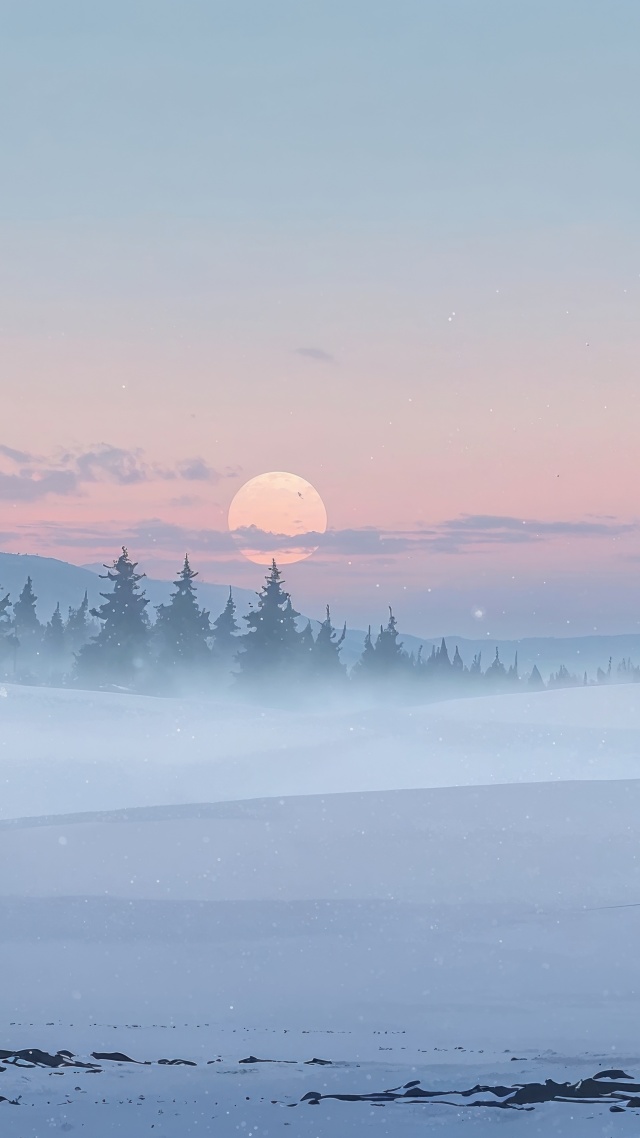 christmas wallpaper wallpaper, winter wonderland, holiday decorations, background for mobile wallpaper (vertical)