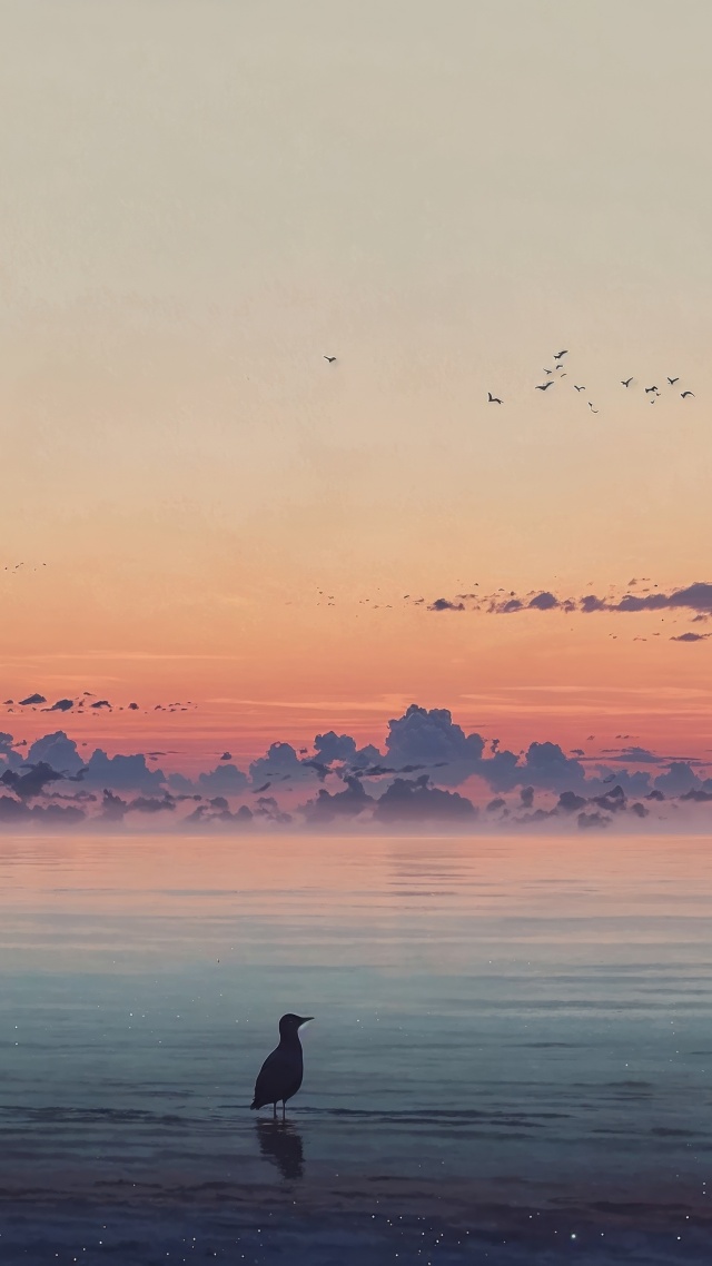 beach sunset wallpaper, sunset hour, evening sky, background for mobile wallpaper (vertical)