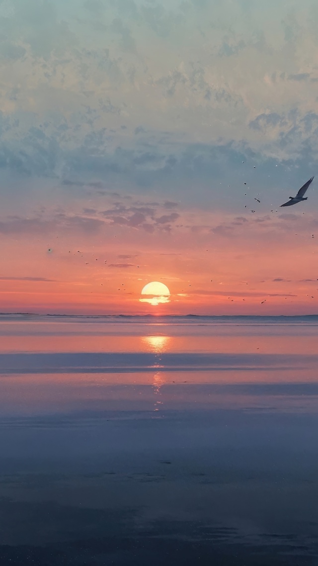 beach sunset wallpaper, sunset hour, evening sky, background for mobile wallpaper (vertical)