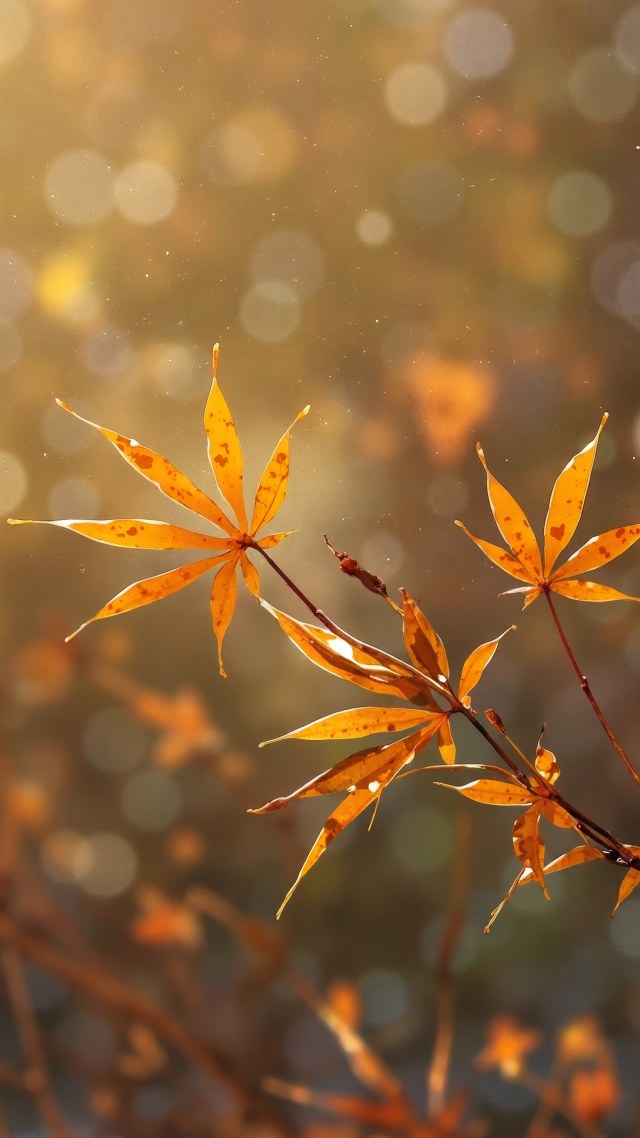 colorful foliage wallpaper, leaf peeping, outdoor adventures, background for mobile wallpaper (vertical)