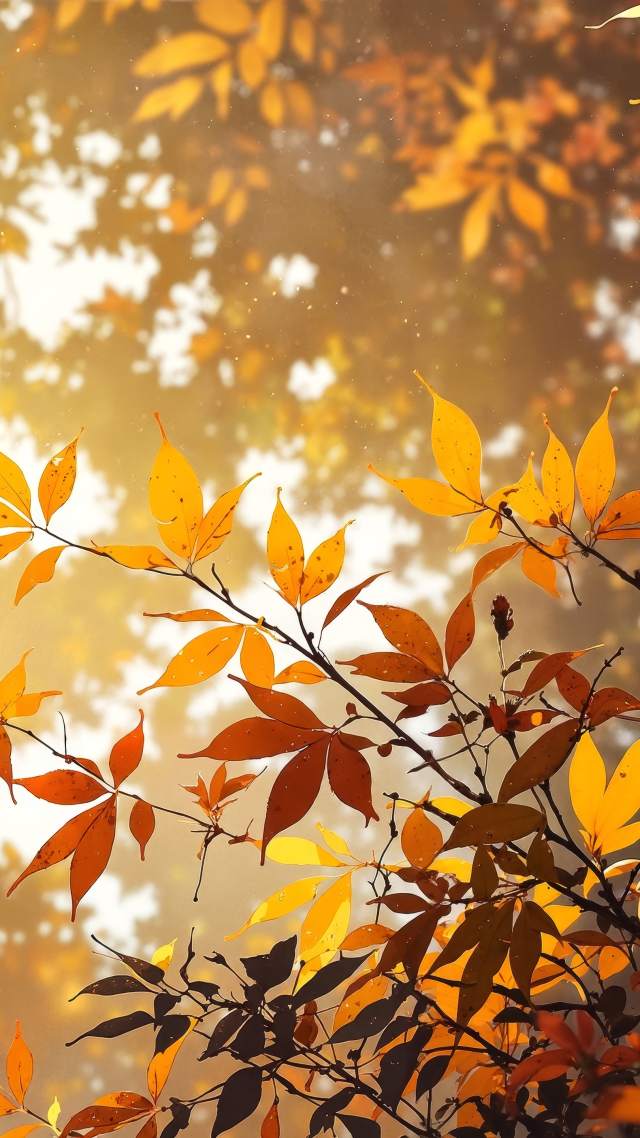 autumn scenery wallpaper, seasonal change, scenic landscapes, background for mobile wallpaper (vertical)