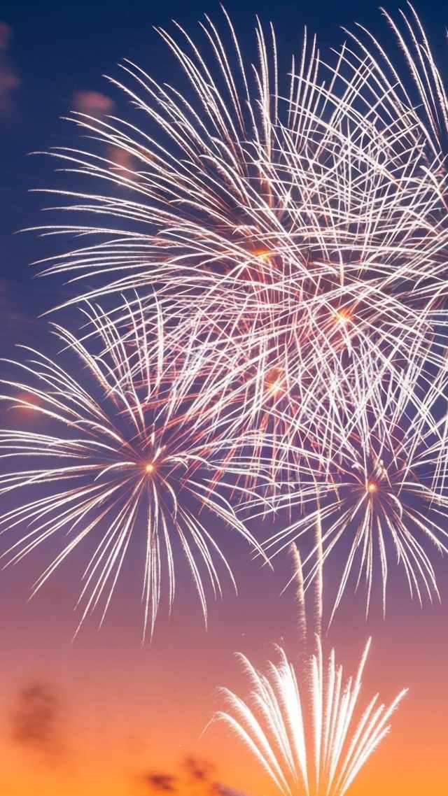 fireworks wallpaper, new years celebration, new years celebrations, background for mobile wallpaper (vertical)