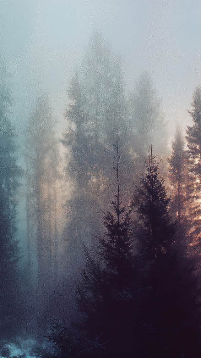 enchanting wallpaper, surreal, mist, background for mobile wallpaper (vertical)