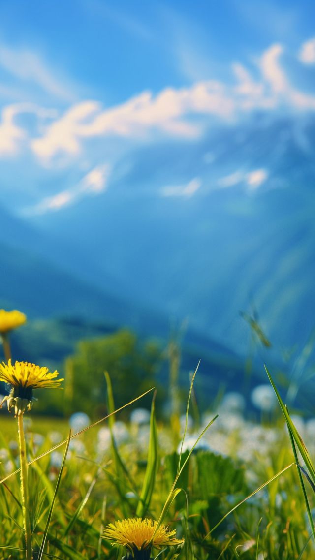Alps wallpaper, meadows, sky, background for mobile wallpaper (vertical)