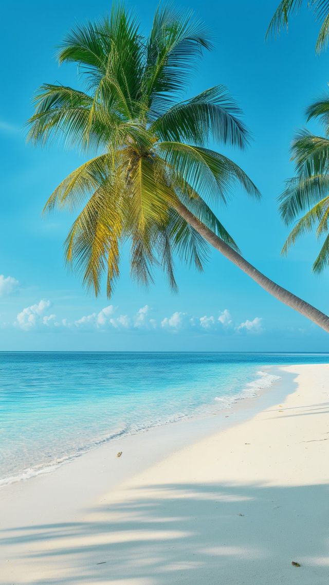 Maldives wallpaper, Indian Ocean, palm trees, background for mobile wallpaper (vertical)