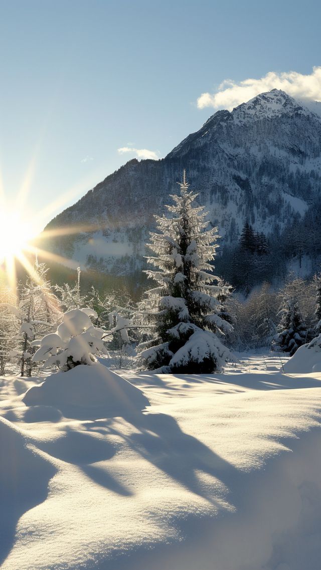 winter forest wallpaper, serene nature, pine tree scenery, background for mobile wallpaper (vertical)